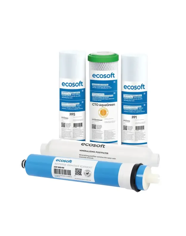 Ecosoft Standard metinis 6 pakopų reversinės osmoso filtrų rinkinys