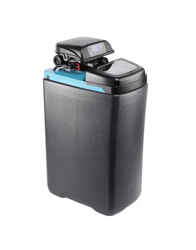 Ecosoft Core 250 automatinis minkštinimo filtras